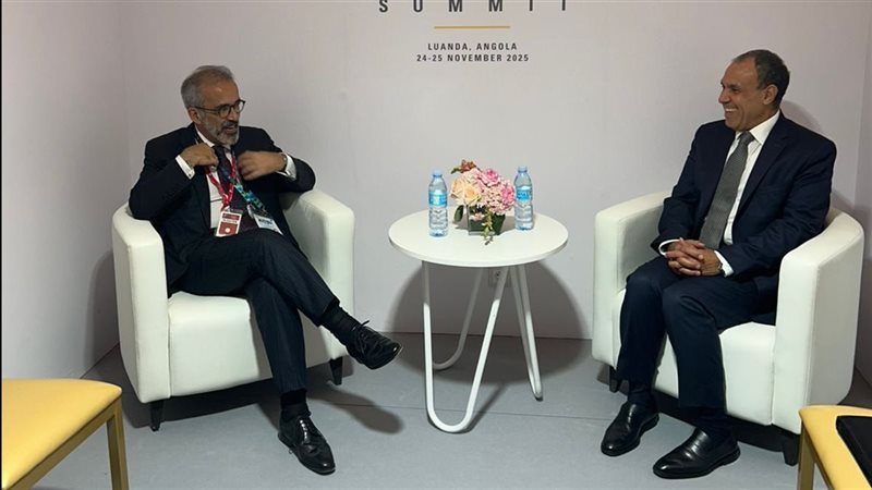 الدكتور بدر عبد العاطى