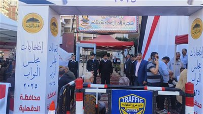 محافظ الدقهلية يتابع انتظام سير انتخابات مجلس النواب 2025