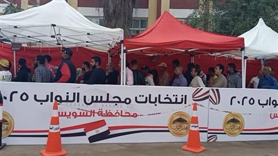 انتخابات النواب 2025، انتظام العملية الانتخابية بلجان السويس