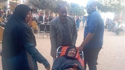 انتخابات النواب 2025، تواجد ملحوظ لكبار السن أمام لجنة الشهيد إبراهيم الشرفا بالقناطر الخيرية