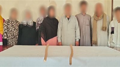 الأمن يكشف ملابسات فيديو التهجم على مسكن أسرة بالشرقية 