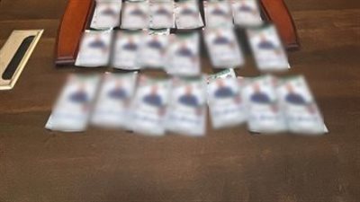 ضبط شاب وسيدة بحوزتهما كوبونات سلع غذائية وكروت دعائية للمرشحين في طنطا والسنطة
