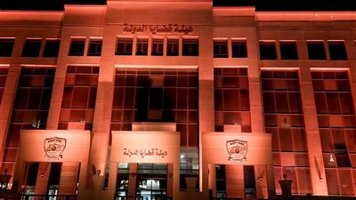 قضايا الدولة تضيء مقارها تضامنا مع مبادرة مناهضة العنف ضد المرأة