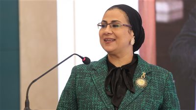 أمل عمار: اليوم العالمى لمناهضة العنف يؤكد حق كل امرأة في أن تعيش آمنة