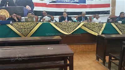  الحصر العددي لأصوات 14 لجنة انتخابية بدائرة الباجور في المنوفية