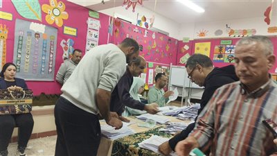 انتخابات مجلس نواب 2025، الحصر العددي في لجنة مدرسة القباب الكبرى بدكرنس بالدقهلية