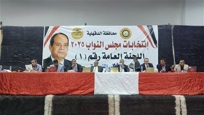 21 مرشحا بينهم رضا عبد السلام، إعلان الحصر العددي لأصوات الناخبين باللجنة 46 في المنصورة