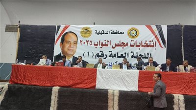  إعلان نتائج الحصر العددي لأصوات الناخبين بالدائرة الأولى في الدقهلية (فيديو)