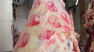 حملات تفتيشية على أسواق اللحوم والأسماك والدواجن في أسوان