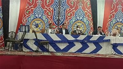 نتائج الحصر العددي لأصوات الناخبين بالدائرة السابعة في المنزلة والمطرية بالدقهلية