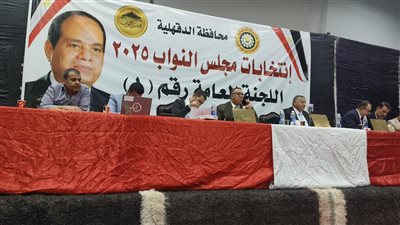 الحصر العددي للدائرة الرابعة طلخا ونبروه في انتخابات نواب 2025 بالدقهلية 