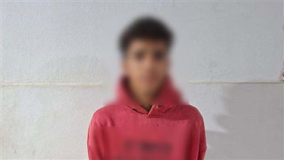 الأمن يكشف تفاصيل اعتداء طالب على سيدة بالمنوفية