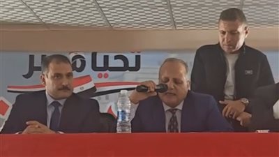 إعلان الحصر العددي للدائرة التاسعة في انتخابات النواب بلجان أجا بالدقهلية 