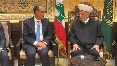 وزير الخارجية يؤكد حرص القاهرة على تعزيز التعاون مع دار الفتوى اللبنانية