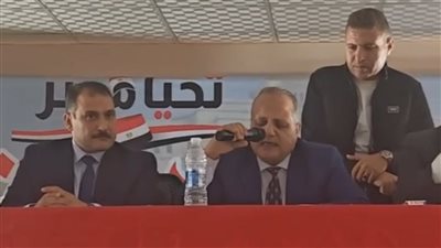 نتائج الحصر العددي لمرشحي الدائرة الثالثة في انتخابات النواب 2025 بالدقهلية 