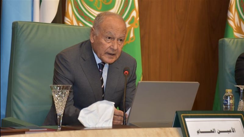 أحمد أبو الغيط، فيتو
