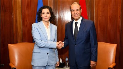 تفاصيل لقاء وزير الخارجية مع مفوضة الاتحاد الأوروبى لإدارة الأزمات (صور)