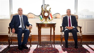 وزير الخارجية يبحث مع نائب الرئيس الفلسطيني تطورات الأوضاع في غزة