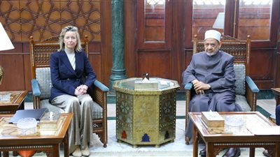 شيخ الأزهر: العدوان على غزة كشف تفرقة بين حقوق الإنسان الشرقي والغربي