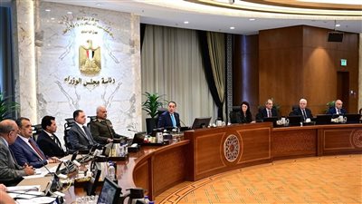 انضمام مصر كدولة شريكة لبرنامج 