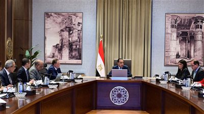 رئيس الوزراء يتابع الموقف التنفيذي لمشروعات الطاقة الجديدة والمتجددة