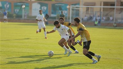 ترتيب دوري المحترفين قبل الجولة الـ 14 