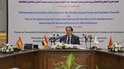 أبو العينين: القضية الفلسطينية جوهر الصراع في الشرق الأوسط والحروب لا تحل أي أزمة