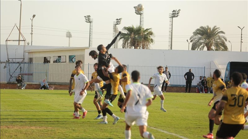 دوري المحترفين 