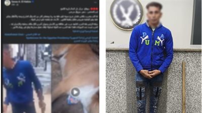 ضبط مزارع لتعديه على كلب باستخدام كوريك في سوهاج 