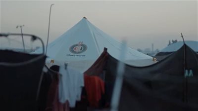 بتوجيهات شيخ الأزهر، تسليم مساعدات بيت الزكاة إلى أهالي غزة (فيديو وصور)