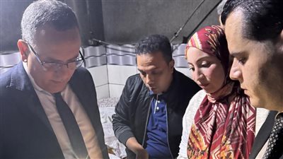 ضبط 11 طن سلع غير صالحة وتحرير 308 محاضر في حملات تموينية بالدقهلية 