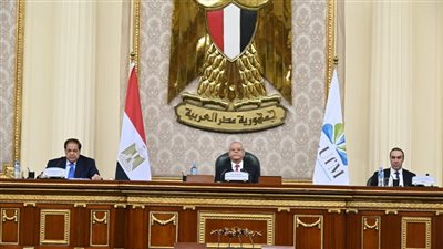 ممثل البرلمان الفلسطيني يشيد بجهود مصر في دعم القضية 