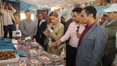 وفد اليونسكو يزور مشروع معالجة مياه الصرف الصحي والغابة الشجرية بالوادي الجديد