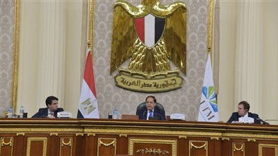 لدعمه قضية فلسطين، برلمانية الاتحاد من أجل المتوسط تمنح السيسي جائزة شجرة الزيتون للسلام