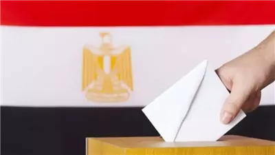 بالأسماء، الفائزون في انتخابات مجلس النواب بمحافظات المرحلة الثانية عن الشعب الجمهوري