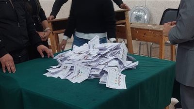 لم ينجح أحد، نتائج الحصر العددي بالدائرة الرابعة في إبشواي بالفيوم