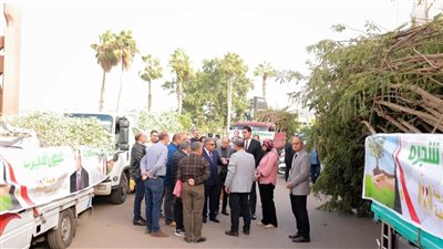 الدقهلية تتسلم 27 ألف شتلة ضمن المرحلة الرابعة لمبادرة 