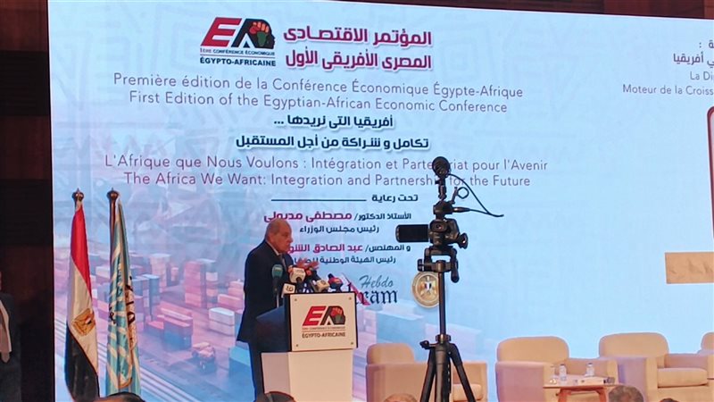 ابراهيم محلب، فيتو