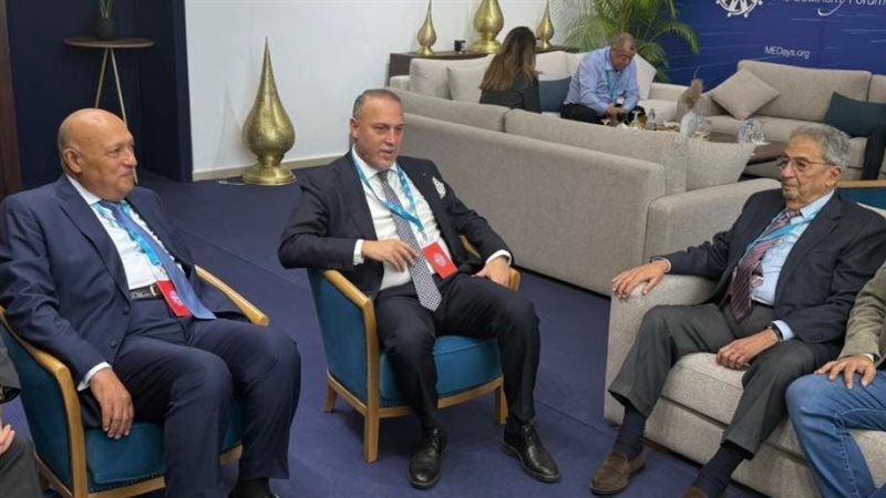 عمرو موسى وسامح شكري