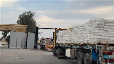 الهلال الأحمر يدفع بـ10,500 طن مساعدات إنسانية و91 ألف قطعة ملابس شتوية إلى غزة