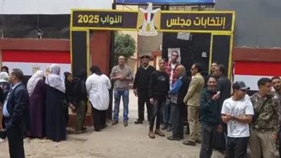 رئيس اللجنة المشرفة على انتخابات النواب بقنا: غرفة العمليات لم ترصد أي معوقات 