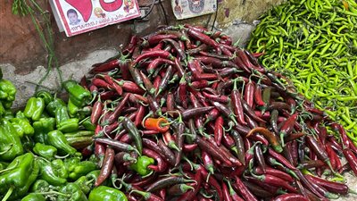  التفاح يسجل 75 جنيها للكيلو، أسعار الخضار والفاكهة بأسواق الزواية الحمراء (صور)