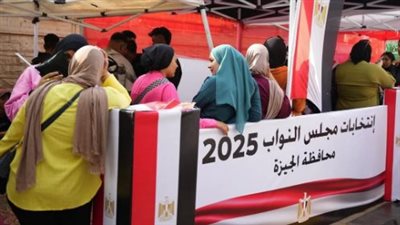 اليوم، انتهاء التصويت في انتخابات الدوائر الملغاة وهذا موعد إعلان النتيجة