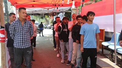 المصريون في الخارج يدلون بأصواتهم في 19 دائرة ملغاة بالمرحلة الأولى لانتخابات النواب