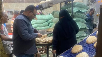  محافظ الدقهلية بعد ضبط 15 مخالفة بالمخابز: لن نسمح بأي تلاعب يمس قوت المواطن 