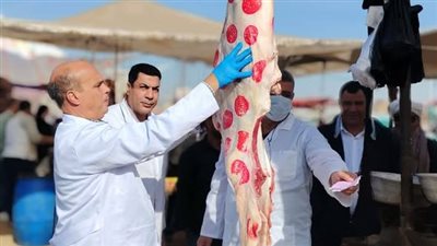 الزراعة: ضبط 682 طنًا من اللحوم غير الصالحة وتحرير 1060 محضرًا خلال نوفمبر