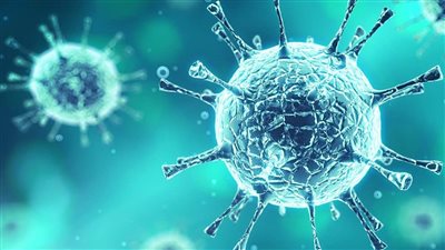 الصحة تكشف حقيقة انتشار فيروس قاتل (فيديو)