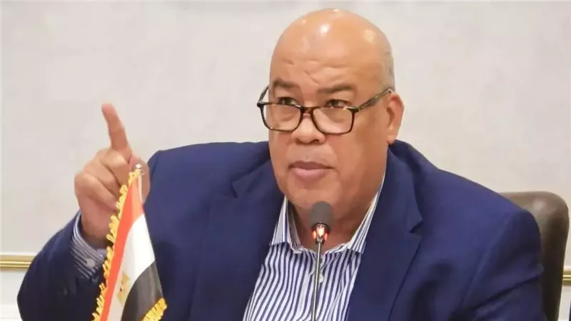 أيمن العشري