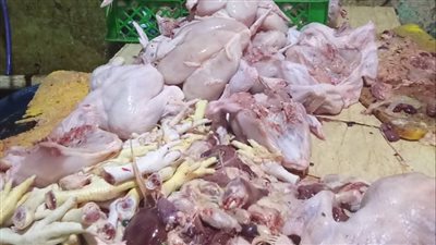 ضبط لحوم ودواجن مجهولة المصدر وتحرير 32 مخالفة في حملات تموينية بالقليوبية