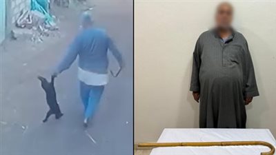 ضبط عامل اعتدى على قطة بالشرقية 